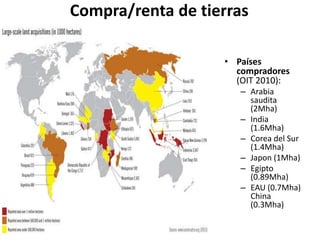 Compra/renta de tierras
• Países
compradores
(OIT 2010):
– Arabia
saudita
(2Mha)
– India
(1.6Mha)
– Corea del Sur
(1.4Mha)
– Japon (1Mha)
– Egipto
(0.89Mha)
– EAU (0.7Mha)
China
(0.3Mha)
 