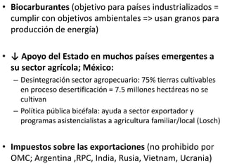 • Biocarburantes (objetivo para países industrializados =
cumplir con objetivos ambientales => usan granos para
producción de energía)
• ↓ Apoyo del Estado en muchos países emergentes a
su sector agrícola; México:
– Desintegración sector agropecuario: 75% tierras cultivables
en proceso desertificación = 7.5 millones hectáreas no se
cultivan
– Política pública bicéfala: ayuda a sector exportador y
programas asistencialistas a agricultura familiar/local (Losch)
• Impuestos sobre las exportaciones (no prohibido por
OMC; Argentina ,RPC, India, Rusia, Vietnam, Ucrania)
 