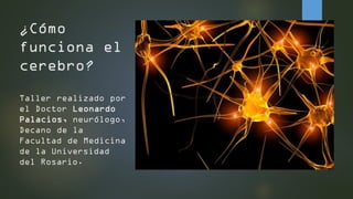 ¿Cómo funciona el cerebro? Taller realizado por el Doctor Leonardo Palacios,neurólogo, Decano de la Facultad de Medicina de la Universidad del Rosario.  