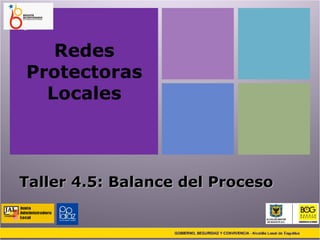 Redes Protectoras Locales Taller 4.5: Balance del Proceso 