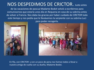 NOS DESPEDIMOS DE CRICTOR. Justo antes
de las vacaciones de pascua Madame Bodot volvió a escribirnos para
comunicarnos que estaría unos día en Requena en casa de su sobrina antes
de volver a Francia. Nos daba las gracias por haber cuidado de CIRCTOR todo
este tiempo y nos pedía que le llevásemos la serpiente con su sobrina Luci
para poder recogerla.
En fila, con CRICTOR y con un poco de pena nos fuimos todos a llevar a
nuestra amiga de vuelta con su dueña, Madame Bodot.
 