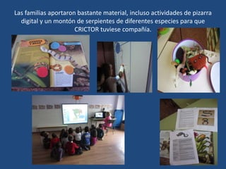 Las familias aportaron bastante material, incluso actividades de pizarra
digital y un montón de serpientes de diferentes especies para que
CRICTOR tuviese compañía.
 
