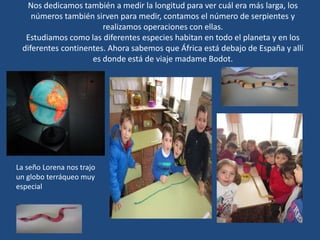 Nos dedicamos también a medir la longitud para ver cuál era más larga, los
números también sirven para medir, contamos el número de serpientes y
realizamos operaciones con ellas.
Estudiamos como las diferentes especies habitan en todo el planeta y en los
diferentes continentes. Ahora sabemos que África está debajo de España y allí
es donde está de viaje madame Bodot.
La seño Lorena nos trajo
un globo terráqueo muy
especial
 