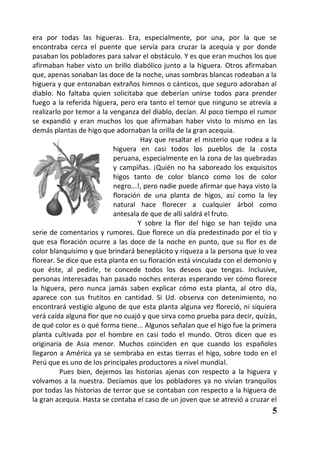 era por todas las higueras. Era, especialmente, por una, por la que se
encontraba cerca el puente que servía para cruzar la acequia y por donde
pasaban los pobladores para salvar el obstáculo. Y es que eran muchos los que
afirmaban haber visto un brillo diabólico junto a la higuera. Otros afirmaban
que, apenas sonaban las doce de la noche, unas sombras blancas rodeaban a la
higuera y que entonaban extraños himnos o cánticos, que seguro adoraban al
diablo. No faltaba quien solicitaba que deberían unirse todos para prender
fuego a la referida higuera, pero era tanto el temor que ninguno se atrevía a
realizarlo por temor a la venganza del diablo, decían. Al poco tiempo el rumor
se expandió y eran muchos los que afirmaban haber visto lo mismo en las
demás plantas de higo que adornaban la orilla de la gran acequia.
                                    Hay que resaltar el misterio que rodea a la
                           higuera en casi todos los pueblos de la costa
                           peruana, especialmente en la zona de las quebradas
                           y campiñas. ¡Quién no ha saboreado los exquisitos
                           higos tanto de color blanco como los de color
                           negro...!, pero nadie puede afirmar que haya visto la
                           floración de una planta de higos, así como la ley
                           natural hace florecer a cualquier árbol como
                           antesala de que de allí saldrá el fruto.
                                   Y sobre la flor del higo se han tejido una
serie de comentarios y rumores. Que florece un día predestinado por el tío y
que esa floración ocurre a las doce de la noche en punto, que su flor es de
color blanquísimo y que brindará beneplácito y riqueza a la persona que lo vea
florear. Se dice que esta planta en su floración está vinculada con el demonio y
que éste, al pedirle, te concede todos los deseos que tengas. Inclusive,
personas interesadas han pasado noches enteras esperando ver cómo florece
la higuera, pero nunca jamás saben explicar cómo esta planta, al otro día,
aparece con sus frutitos en cantidad. Si Ud. observa con detenimiento, no
encontrará vestigio alguno de que esta planta alguna vez floreció, ni siquiera
verá caída alguna flor que no cuajó y que sirva como prueba para decir, quizás,
de qué color es o qué forma tiene... Algunos señalan que el higo fue la primera
planta cultivada por el hombre en casi todo el mundo. Otros dicen que es
originaria de Asia menor. Muchos coinciden en que cuando los españoles
llegaron a América ya se sembraba en estas tierras el higo, sobre todo en el
Perú que es uno de los principales productores a nivel mundial.
          Pues bien, dejemos las historias ajenas con respecto a la higuera y
volvamos a la nuestra. Decíamos que los pobladores ya no vivían tranquilos
por todas las historias de terror que se contaban con respecto a la higuera de
la gran acequia. Hasta se contaba el caso de un joven que se atrevió a cruzar el
                                                                              5
 