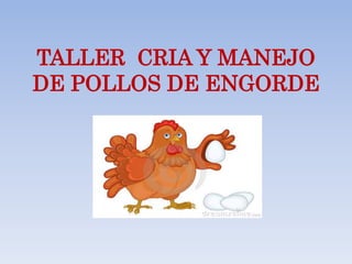 TALLER CRIA Y MANEJO
DE POLLOS DE ENGORDE
 