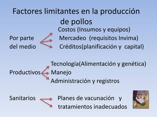 Factores limitantes en la producción
de pollos
Costos (Insumos y equipos)
Por parte Mercadeo (requisitos Invima)
del medio...