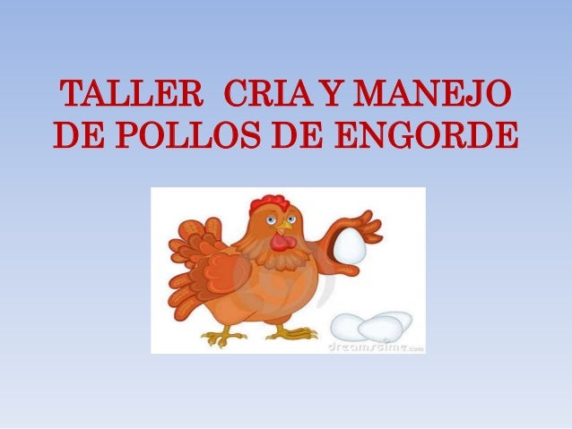 Taller Cria Y Manejo De Pollos De Engorde