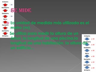  La unidad de medida más utilizada es el
metro (m).
Se utiliza para medir la altura de un
árbol, la longitud de una piscina,la
longitud de una habitación, la altura de
un edificio...
 