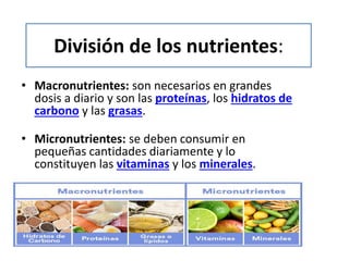 División de los nutrientes:
• Macronutrientes: son necesarios en grandes
dosis a diario y son las proteínas, los hidratos de
carbono y las grasas.
• Micronutrientes: se deben consumir en
pequeñas cantidades diariamente y lo
constituyen las vitaminas y los minerales.
 