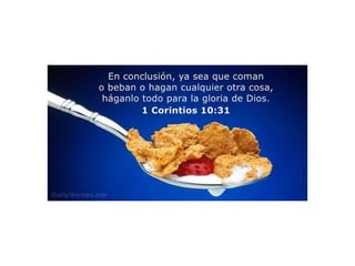 Taller de Alimentacion.pptx