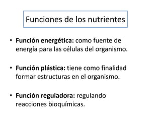 Funciones de los nutrientes
• Función energética: como fuente de
energía para las células del organismo.
• Función plástica: tiene como finalidad
formar estructuras en el organismo.
• Función reguladora: regulando
reacciones bioquímicas.
 