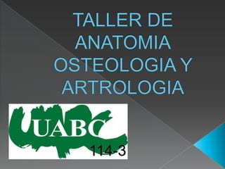 TALLER DE ANATOMIAOSTEOLOGIA Y ARTROLOGIA  114-3 