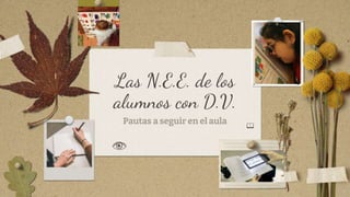 Las N.E.E. de los
alumnos con D.V.
Pautas a seguir en el aula 📖
 
