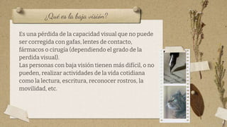 ¿Qué es la baja visión?
Es una pérdida de la capacidad visual que no puede
ser corregida con gafas, lentes de contacto,
fármacos o cirugía (dependiendo el grado de la
perdida visual).
Las personas con baja visión tienen más difícil, o no
pueden, realizar actividades de la vida cotidiana
como la lectura, escritura, reconocer rostros, la
movilidad, etc.
4
 