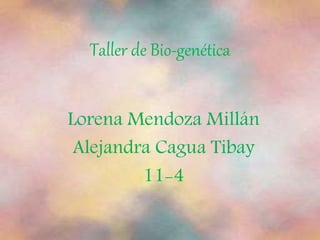 Taller de Bio-genética 
Lorena Mendoza Millán 
Alejandra Cagua Tibay 
11-4 
 