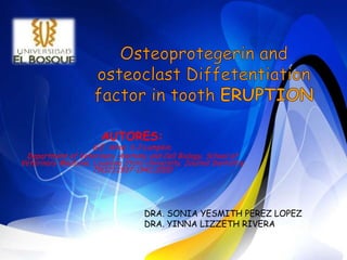 Osteoprotegerin and osteoclastDiffetentiation factor in tooth ERUPTION AUTORES:  G.E. Wise; S.J:Lumpkin. Department of Veterinary Anatomy and Cell Biology, School of Veterinary Medicine, Lousiana State University. Journal Dentistry 79(12):1937-1942,2000 DRA. SONIA YESMITH PEREZ LOPEZ  DRA. YINNA LIZZETH RIVERA 