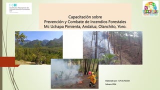 Capacitación sobre
Prevención y Combate de Incendios Forestales
Mc Uchapa Pimienta, Andaluz, Olanchito, Yoro.
Elaborado por: ICF OLTOCOA
Febrero 2024
 