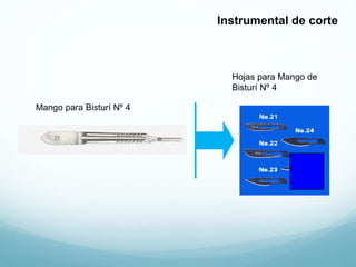 Hojas para Mango de
Bisturí Nº 4
Instrumental de corte
Mango para Bisturí Nº 4
 
