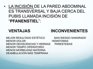 • LA INCISIÓN DE LA PARED ABDOMINAL
ES TRANSVERSAL Y BAJA CERCA DEL
PUBIS LLAMADA INCISIÓN DE
“PFANENSTIEL”:
VENTAJAS INCONVENIENTES
MEJOR RESULTADO ESTÉTICO MAS RIESGO SANGRADO
MENOR DOLOR HEMATOMAS
MENOR DEHISCENCIAS Y HERNIAS PARESTESIAS
MENOR TIEMPO OPERATORIO
MENOS MORBILIDAD MATERNA
DEAMBULACIÓN MÁS TEMPRANA
 