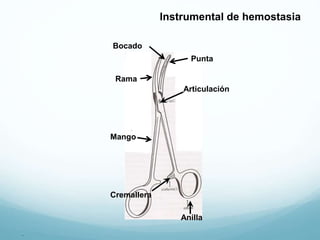 .
Articulación
Mango
Anilla
Cremallera
Rama
Punta
Bocado
Instrumental de hemostasia
 