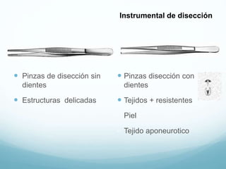  Pinzas de disección sin
dientes
 Estructuras delicadas
 Pinzas disección con
dientes
 Tejidos + resistentes
- Piel
- Tejido aponeurotico
Instrumental de disección
 