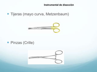  Tijeras (mayo curva, Metzenbaum)
 Pinzas (Crille)
Instrumental de disección
 