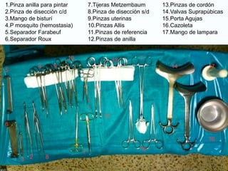23
4
5
1
6
7
8
9
10
1
1
12
13
14
15
16
17
1.Pinza anilla para pintar
2.Pinza de disección c/d
3.Mango de bisturí
4.P mosquito (hemostasia)
5.Separador Farabeuf
6.Separador Roux
7.Tijeras Metzembaum
8.Pinza de disección s/d
9.Pinzas uterinas
10.Pinzas Allis
11.Pinzas de referencia
12.Pinzas de anilla
13.Pinzas de cordón
14.Valvas Suprapúbicas
15.Porta Agujas
16.Cazoleta
17.Mango de lampara
 