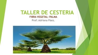 TALLER DE CESTERIA
FIBRA VEGETAL: PALMA
Prof: Adriana Páez.
 
