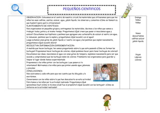 OBSERVACION: Colocamos en el centro de nuestro circulo los materiales que utilizaremos para que los
niños los vean cañitas, vasitos, azúcar, agua, jabón líquido, los observan y comentan ¿Cómo se llaman? ¿a
que huelen? ¿para qué lo utilizaremos?
PLANTEAMIENTO DE HIPOTESIS:
Nos organizamos en pequeños grupos y entregamos los materiales, decimos a los niños que vamos a
trabajar todos juntos y al mismo tiempo. Preguntamos ¿Qué creen que pasar si mezclamos agua y
azúcar? Escuchamos sus hipótesis y pedimos que agreguen una cucharadita de azúcar al vasito con agua,
lo remueven, pedimos que la soplen y preguntamos ¿Qué sucedió con el agua?
Luego echamos unas gotas de jabón líquido a l vasito con agua y les pedimos que soplen nuevamente,
preguntamos ¿Qué sucedió ahora?
RECOLECTAN INFORMACION EXPERIMENTACION:
A medida que hacen burbujas, les vamos preguntando sobre lo que esta pasando ¿Cómo se forman las
burbujas? Proponemos hacer burbujas de colores, ¿Qué podemos hacer para tener burbujas de colores?
Escuchamos sus ideas, mezclamos el agua con unas gotas de tempera, soplamos nuevamente para ver que
sucede y comprobamos que las burbujas salen de colores. Finalmente nos organizamos para guardar y
limpiar el lugar donde hemos experimentado
Proponemos a los niños pintar con las burbujas ¿ que pasara si lo
intentamos? Motivamos a los niños para que pinten usando agua jabonosa
y pinceles
CONCLUSIONES:
Nos acercamos a cada niño para que nos cuente que ha dibujado y lo
escribimos.
Conversamos con los niños sobre lo que han descubierto es esta actividad.
Felicitamos a los niños por la actividad realizada. Preguntamos ¿Qué
aprendimos hoy? ¿Cómo lo hicimos ¿Cuál fue el propósito? ¿Qué sucedió con las lentejas? ¿Cómo se
sintieron en la actividad realizada?
45 m. Dialogo
Niños
Niñas
Vasos
descartables
cañitas azúcar
jabón liquido
Hojas
Lápices
colores
PEQUEÑOS CIENTIFICOS
 