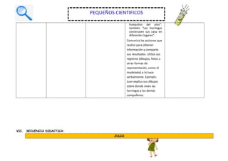 huequitos del piso”.
también “Las hormigas
construyen sus casa en
diferentes lugares”.
Comunica las acciones que
realizó para obtener
información y comparte
sus resultados. Utiliza sus
registros (dibujos, fotos u
otras formas de
representación, como el
modelado) o lo hace
verbalmente. Ejemplo:
Juan explica sus dibujos
sobre donde viven las
hormigas a los demás
compañeros.
VII. SECUENCIA DIDACTICA:
JULIO
PEQUEÑOS CIENTIFICOS
 