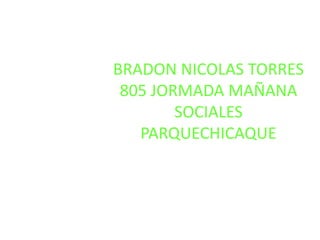 BRADON NICOLAS TORRES805 JORMADA MAÑANASOCIALES PARQUECHICAQUE 