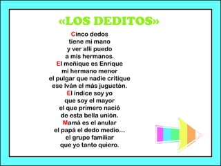 «LOS DEDITOS»
Cinco dedos
tiene mi mano
y ver allí puedo
a mis hermanos.
El meñique es Enrique
mi hermano menor
el pulgar que nadie critique
ese Iván el más juguetón.
El índice soy yo
que soy el mayor
el que primero nació
de esta bella unión.
Mamá es el anular
el papá el dedo medio…
el grupo familiar
que yo tanto quiero.
 