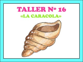 TALLER Nº 16
«LA CARACOLA»
 