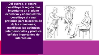 Del cuerpo, el rostro
constituye la región más
importante en el plano
expresivo y comunicativo;
constituye el canal
preferido para la expresión
de las emociones;
manifiesta las actitudes
interpersonales y produce
señales importantes de
interacción.
 