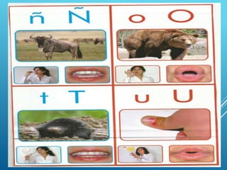 TALLER DE COMUNICACION A.pptx