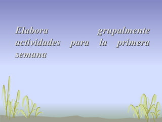 Elabora grupalmente
actividades para la primera
semana
 