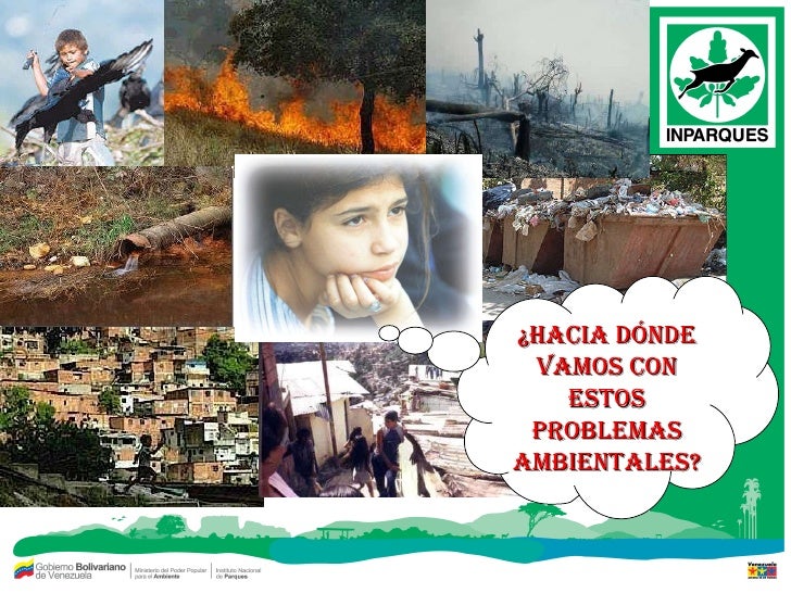 Taller De Educacion Ambiental