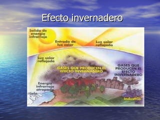 Efecto invernadero 