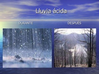 Lluvia ácida DURANTE DESPUÉS 