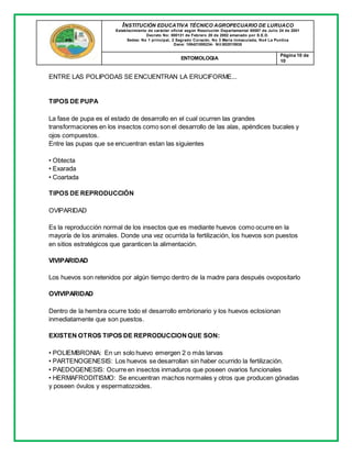 INSTITUCIÓN EDUCATIVA TÉCNICO AGROPECUARIO DE LURUACO
Establecimiento de carácter oficial según Resolución Departamental 00587 de Julio 24 de 2001
Decreto No: 000131 de Febrero 20 de 2002 emanado por S.E.D.
Sedes: No 1 principal, 2 Sagrado Corazón, No 3 María Inmaculada, No4 La Puntica
Dane: 108421000234- Nit:802015935
ENTOMOLOGIA
Página 10 de
10
ENTRE LAS POLIPODAS SE ENCUENTRAN LA ERUCIFORME...
TIPOS DE PUPA
La fase de pupa es el estado de desarrollo en el cual ocurren las grandes
transformaciones en los insectos como son el desarrollo de las alas, apéndices bucales y
ojos compuestos.
Entre las pupas que se encuentran estan las siguientes
• Obtecta
• Exarada
• Coartada
TIPOS DE REPRODUCCIÓN
OVIPARIDAD
Es la reproducción normal de los insectos que es mediante huevos como ocurre en la
mayoría de los animales. Donde una vez ocurrida la fertilización, los huevos son puestos
en sitios estratégicos que garanticen la alimentación.
VIVIPARIDAD
Los huevos son retenidos por algún tiempo dentro de la madre para después ovopositarlo
OVIVIPARIDAD
Dentro de la hembra ocurre todo el desarrollo embrionario y los huevos eclosionan
inmediatamente que son puestos.
EXISTEN OTROS TIPOS DE REPRODUCCIONQUE SON:
• POLIEMBRONIA: En un solo huevo emergen 2 o más larvas
• PARTENOGENESIS: Los huevos se desarrollan sin haber ocurrido la fertilización.
• PAEDOGENESIS: Ocurre en insectos inmaduros que poseen ovarios funcionales
• HERMAFRODITISMO: Se encuentran machos normales y otros que producen gónadas
y poseen óvulos y espermatozoides.
 
