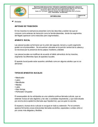 INSTITUCIÓN EDUCATIVA TÉCNICO AGROPECUARIO DE LURUACO
Establecimiento de carácter oficial según Resolución Departamental 00587 de Julio 24 de 2001
Decreto No: 000131 de Febrero 20 de 2002 emanado por S.E.D.
Sedes: No 1 principal, 2 Sagrado Corazón, No 3 María Inmaculada, No4 La Puntica
Dane: 108421000234- Nit:802015935
ENTOMOLOGIA
Página 4 de
10
 Aristada
ANTENAS DE TRASCISION
En los insectos no siempre se presentan como las descritas y existen las que se
conocen como antenas de transición como la familia tabanidae, donde los segmentos
del flagelo aparecen como reducidos pero segmentados..
APARATO BUCAL
Las piezas bucales se formaron por la unión del segundo, tercero y cuarto segmento
gnatal con el protocefalon . Se encuentran ubicadas en la porción ventral de la cabeza y
se reconoce por la presencia de los palpos maxilares y labiales
Las piezas bucales se modifican de acuerdo al hábito alimenticio de los insectos,
originando los diferentes tipos de aparatos bucales.
El aparato bucal puede estar ausente o atrofiado como en algunos adultos que no se
alimentan
TIPOS DE APARATOS BUCALES
• Masticador
• Labro
• Mandíbulas
• Maxilas
• Labio
• Hipo faringe
• Perforador Chupador
El exoesqueleto de los artrópodos es una cubierta continua llamada cutícula, que se
extiende incluso al tubo digestivo y las vías o cavidades respiratorias, y que está situada
por encima de la epidermis (llamada aquí hipodermis), que es quien la secreta.
El espesor y dureza de la cutícula no es igual en toda su extensión. Por el contrario
aparece formando zonas endurecidas llamadas escleritos, separadas o unidas entre sí
por zonas más delgadas y flexibles
 