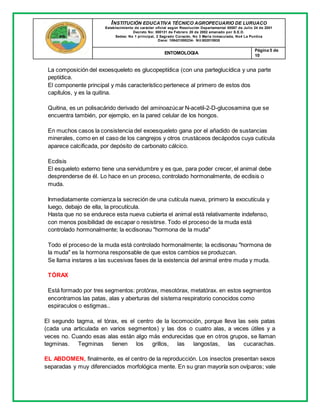 INSTITUCIÓN EDUCATIVA TÉCNICO AGROPECUARIO DE LURUACO
Establecimiento de carácter oficial según Resolución Departamental 00587 de Julio 24 de 2001
Decreto No: 000131 de Febrero 20 de 2002 emanado por S.E.D.
Sedes: No 1 principal, 2 Sagrado Corazón, No 3 María Inmaculada, No4 La Puntica
Dane: 108421000234- Nit:802015935
ENTOMOLOGIA
Página 5 de
10
La composición del exoesqueleto es glucopeptídica (con una parteglucídica y una parte
peptídica.
El componente principal y más característico pertenece al primero de estos dos
capítulos, y es la quitina.
Quitina, es un polisacárido derivado del aminoazúcar N-acetil-2-D-glucosamina que se
encuentra también, por ejemplo, en la pared celular de los hongos.
En muchos casos la consistencia del exoesqueleto gana por el añadido de sustancias
minerales, como en el caso de los cangrejos y otros crustáceos decápodos cuya cutícula
aparece calcificada, por depósito de carbonato cálcico.
Ecdisis
El esqueleto externo tiene una servidumbre y es que, para poder crecer, el animal debe
desprenderse de él. Lo hace en un proceso, controlado hormonalmente, de ecdisis o
muda.
Inmediatamente comienza la secreción de una cutícula nueva, primero la exocutícula y
luego, debajo de ella, la procutícula.
Hasta que no se endurece esta nueva cubierta el animal está relativamente indefenso,
con menos posibilidad de escapar o resistirse. Todo el proceso de la muda está
controlado hormonalmente; la ecdisonau "hormona de la muda"
Todo el proceso de la muda está controlado hormonalmente; la ecdisonau "hormona de
la muda" es la hormona responsable de que estos cambios se produzcan.
Se llama instares a las sucesivas fases de la existencia del animal entre muda y muda.
TÓRAX
Está formado por tres segmentos: protórax, mesotórax, metatórax. en estos segmentos
encontramos las patas, alas y aberturas del sistema respiratorio conocidos como
espiraculos o estigmas..
El segundo tagma, el tórax, es el centro de la locomoción, porque lleva las seis patas
(cada una articulada en varios segmentos) y las dos o cuatro alas, a veces útiles y a
veces no. Cuando esas alas están algo más endurecidas que en otros grupos, se llaman
tegminas. Tegminas tienen los grillos, las langostas, las cucarachas.
EL ABDOMEN, finalmente, es el centro de la reproducción. Los insectos presentan sexos
separadas y muy diferenciados morfológica mente. En su gran mayoría son ovíparos; vale
 