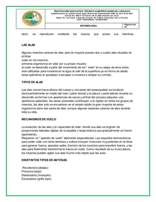 INSTITUCIÓN EDUCATIVA TÉCNICO AGROPECUARIO DE LURUACO
Establecimiento de carácter oficial según Resolución Departamental 00587 de Julio 24 de 2001
Decreto No: 000131 de Febrero 20 de 2002 emanado por S.E.D.
Sedes: No 1 principal, 2 Sagrado Corazón, No 3 María Inmaculada, No4 La Puntica
Dane: 108421000234- Nit:802015935
ENTOMOLOGIA
Página 6 de
10
decir, se reproducen mediante los huevos que ponen sus hembras.
LAS ALAS
Algunos insectos carecen de alas, pero la mayoría poseen dos o cuatro alas situadas en
el tórax
vuelo en los insectos:
primeros organismos en volar por su propio impulso
el vuelo se desarrolló a partir del movimiento de los " exite" en su etapa de larva estos
eran utilizados para moverse en el agua al salir de la superficie ya en forma de adulto
estos apéndices le ayudaban a escapar o moverse a atrapar su comida..
TIPOS DE ALAS
Las alas cercen hacia afuera del cuerpo y son parte del exoesqueleto se localizan
dorsoventralmente en medio del noto ( parte dorsal) y la pleura ( parte lateral) durante su
desarrollo se forman con apariencias de sacos y al final del proceso adquiere una
apariencia aplastada. las vanas presentes contribuyen a la rigidez en todos los grupos de
insectos, las alas solo se encuentran en el estado adulto la gran mayoría de estos
organismos tiene dos pares de alas, aunque algunas especies carecen de alas durante
toda su vida..
MECANISMOS DE VUELO
La evolución de las alas y la capacidad de volar, donde sus alas se originan de
proyecciones laterales rígidas de la espalda o terga torácica que gradualmente se fueron
agrandando.
Requieren un " aparato de vuelo" altamente especializado. Los requisitos biomecánicos
para poder volar con tanta destreza y soltura incluyen músculos muy potentes en el tórax
para generar fuerza, aparatos axiles (hombro de los insectos) para transferir fuerza, y las
alas para finalmente transformar la fuerza en vuelo. Como resultado de su musculatura,
los insectos pueden agitar sus alas mucho más rápido que las aves.
DINSTINTOS TIPOS DE ANTENAS
Recolectora (abejas)
Prensora (piojo)
Deslizadora (mosquito)
Excavadora (grillo topo)
 