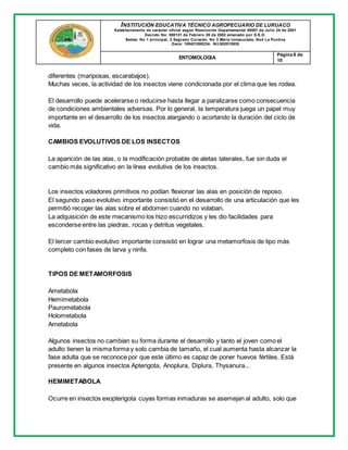 INSTITUCIÓN EDUCATIVA TÉCNICO AGROPECUARIO DE LURUACO
Establecimiento de carácter oficial según Resolución Departamental 00587 de Julio 24 de 2001
Decreto No: 000131 de Febrero 20 de 2002 emanado por S.E.D.
Sedes: No 1 principal, 2 Sagrado Corazón, No 3 María Inmaculada, No4 La Puntica
Dane: 108421000234- Nit:802015935
ENTOMOLOGIA
Página 8 de
10
diferentes (mariposas, escarabajos).
Muchas veces, la actividad de los insectos viene condicionada por el clima que les rodea.
El desarrollo puede acelerarse o reducirse hasta llegar a paralizarse como consecuencia
de condiciones ambientales adversas. Por lo general, la temperatura juega un papel muy
importante en el desarrollo de los insectos alargando o acortando la duración del ciclo de
vida.
CAMBIOS EVOLUTIVOS DE LOS INSECTOS
La aparición de las alas, o la modificación probable de aletas laterales, fue sin duda el
cambio más significativo en la línea evolutiva de los insectos.
Los insectos voladores primitivos no podían flexionar las alas en posición de reposo.
El segundo paso evolutivo importante consistió en el desarrollo de una articulación que les
permitió recoger las alas sobre el abdomen cuando no volaban.
La adquisición de este mecanismo los hizo escurridizos y les dio facilidades para
esconderse entre las piedras, rocas y detritus vegetales.
El tercer cambio evolutivo importante consistió en lograr una metamorfosis de tipo más
completo con fases de larva y ninfa.
TIPOS DE METAMORFOSIS
Ametabola
Hemimetabola
Paurometabola
Holometabola
Ametabola
Algunos insectos no cambian su forma durante el desarrollo y tanto el joven como el
adulto tienen la misma forma y solo cambia de tamaño, el cual aumenta hasta alcanzar la
fase adulta que se reconoce por que este último es capaz de poner huevos fértiles. Está
presente en algunos insectos Apterigota, Anoplura, Diplura, Thysanura...
HEMIMETABOLA
Ocurre en insectos exopterigota cuyas formas inmaduras se asemejan al adulto, solo que
 