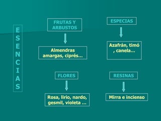 FRUTAS Y            ESPECIAS
       ARBUSTOS
E
S
E     Almendras
                           Azafrán, timó
                            , canela…
N   amargas, ciprés…
C
I
          FLORES             RESINAS
A
S
     Rosa, lirio, nardo,   Mirra e incienso
     gesmil, violeta …
 