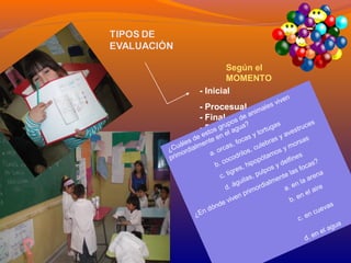 Según el 
MOMENTO 
- Inicial 
- Procesual 
- Final 
- Diferida 
¿Cuáles de estos grupos de animales viven 
primordialmente en el agua? 
a. orcas, focas y tortugas 
b. cocodrilos, culebras y avestruces 
c. tigres, hipopótamos y morsas 
d. águilas, pulpos y delfines 
¿En dónde viven primordialmente las focas? 
a. en la arena 
b. en el aire 
c. en cuevas 
d. en el agua 
 