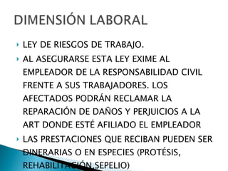 LEY DE RIESGOS DE TRABAJO. AL ASEGURARSE ESTA LEY EXIME AL EMPLEADOR DE LA RESPONSABILIDAD CIVIL FRENTE A SUS TRABAJADORES. LOS AFECTADOS PODRÁN RECLAMAR LA REPARACIÓN DE DAÑOS Y PERJUICIOS A LA ART DONDE ESTÉ AFILIADO EL EMPLEADOR LAS PRESTACIONES QUE RECIBAN PUEDEN SER DINERARIAS O EN ESPECIES (PROTÉSIS, REHABILITACIÓN,SEPELIO) 