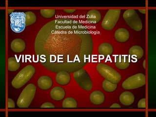 Universidad del Zulia Facultad de Medicina Escuela de Medicina Cátedra de Microbiología VIRUS DE LA HEPATITIS 