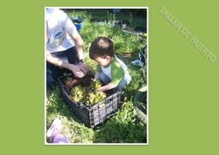 Taller de huerto