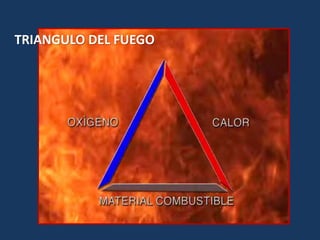 TRIANGULO DEL FUEGO
 
